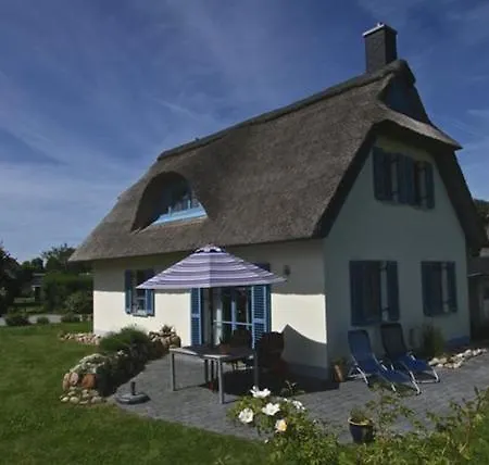 Lavendel Am Schwarzen Busch