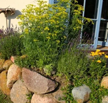 بيت للعطل Lavendel