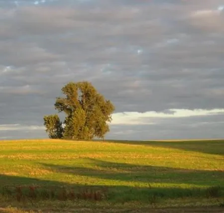 Lavendel * Am Schwarzen Busch