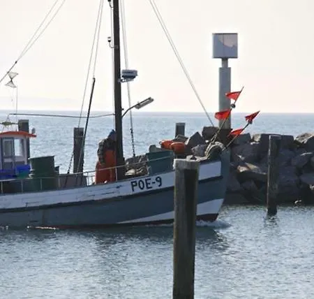 Lavendel Am Schwarzen Busch