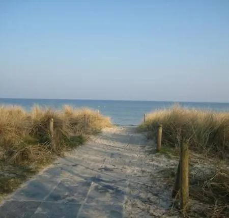 Lavendel Am Schwarzen Busch