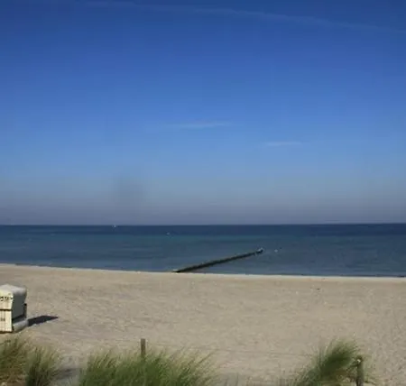 Lavendel Vakantiehuis Am Schwarzen Busch