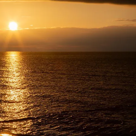 Lavendel Vakantiehuis Am Schwarzen Busch