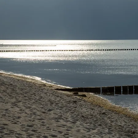 Lavendel * Am Schwarzen Busch