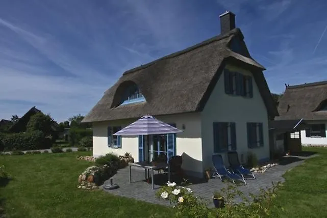 Lavendel Am Schwarzen Busch