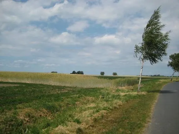 Ferienhaus Lavendel